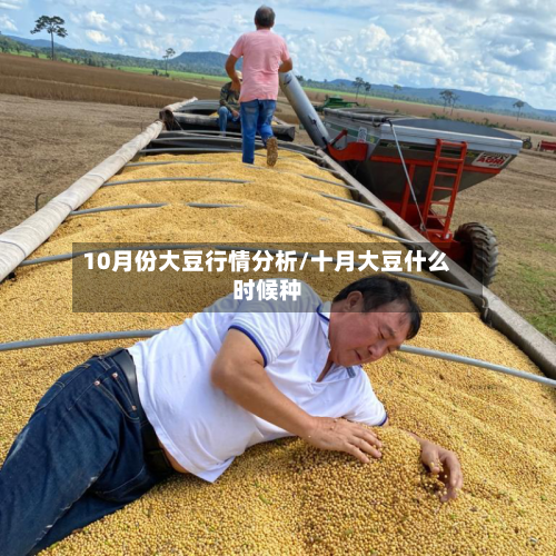 10月份大豆行情分析/十月大豆什么时候种