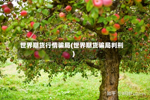 世界期货行情骗局(世界期货骗局判刑)