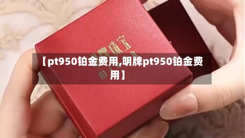 【pt950铂金费用,明牌pt950铂金费用】-第2张图片