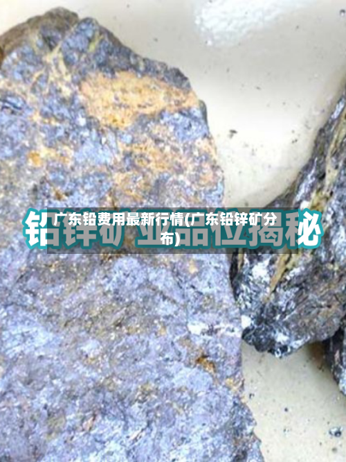 广东铅费用最新行情(广东铅锌矿分布)-第2张图片
