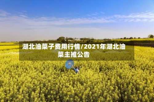 湖北油菜子费用行情/2021年湖北油菜主推公告