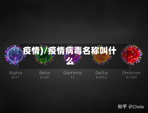 疫情)/疫情病毒名称叫什么