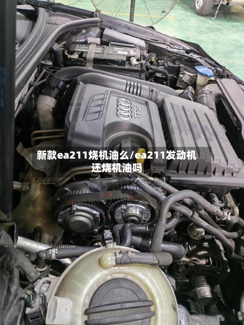 新款ea211烧机油么/ea211发动机还烧机油吗