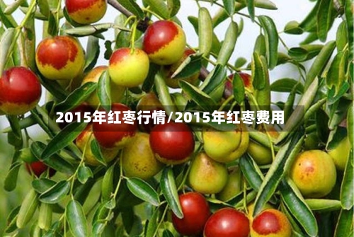 2015年红枣行情/2015年红枣费用-第2张图片