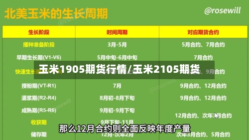 玉米1905期货行情/玉米2105期货-第2张图片