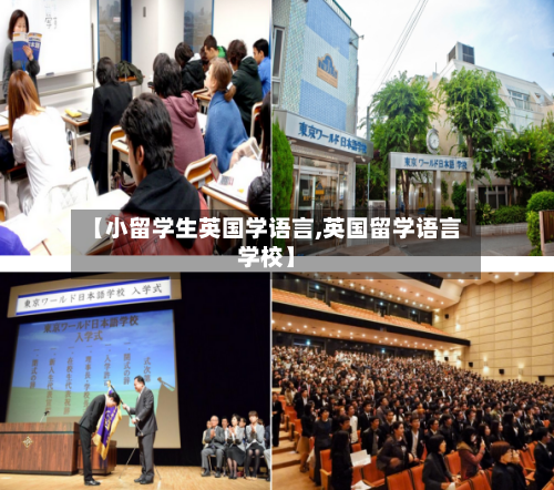 【小留学生英国学语言,英国留学语言学校】-第2张图片