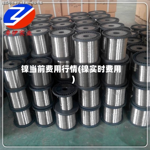 镍当前费用行情(镍实时费用)