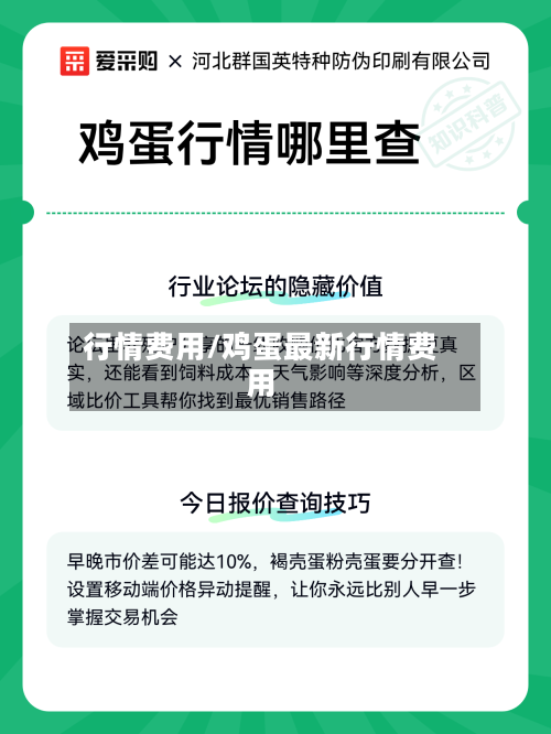 行情费用/鸡蛋最新行情费用