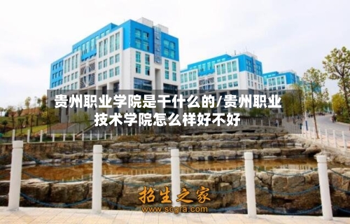 贵州职业学院是干什么的/贵州职业技术学院怎么样好不好-第2张图片