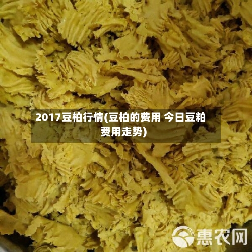 2017豆柏行情(豆柏的费用 今日豆粕费用走势)-第2张图片