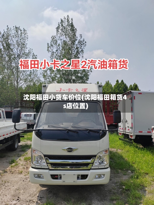 沈阳福田小货车价位(沈阳福田箱货4s店位置)