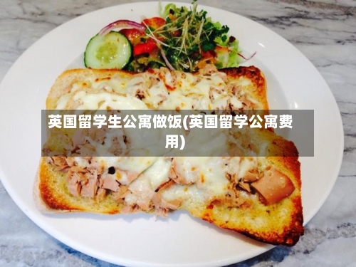 英国留学生公寓做饭(英国留学公寓费用)-第2张图片