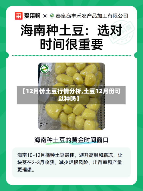 【12月份土豆行情分析,土豆12月份可以种吗】-第3张图片