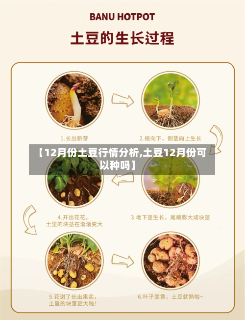 【12月份土豆行情分析,土豆12月份可以种吗】-第2张图片