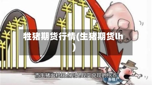 牲猪期货行情(生猪期货lh)