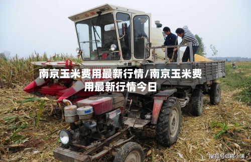 南京玉米费用最新行情/南京玉米费用最新行情今日-第2张图片