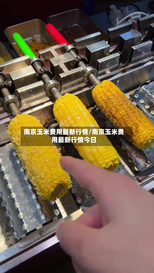 南京玉米费用最新行情/南京玉米费用最新行情今日-第3张图片