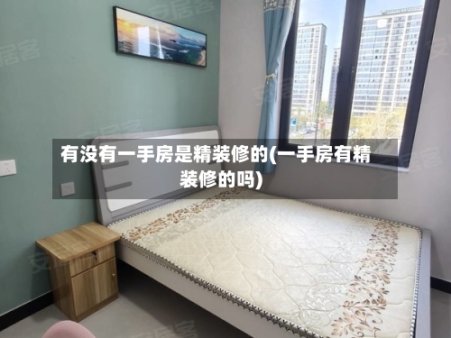 有没有一手房是精装修的(一手房有精装修的吗)
