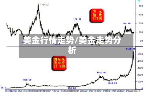 美金行情走势/美金走势分析