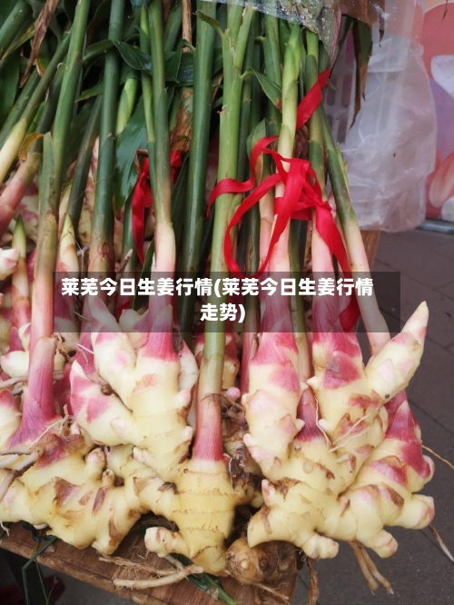 莱芜今日生姜行情(莱芜今日生姜行情走势)