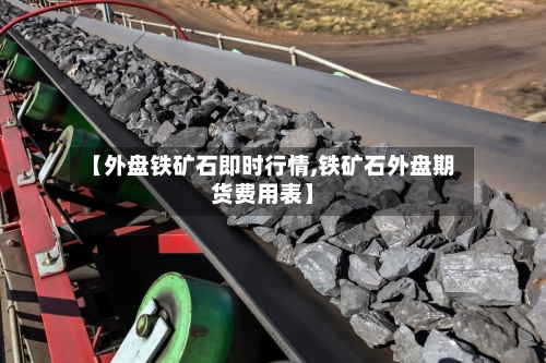 【外盘铁矿石即时行情,铁矿石外盘期货费用表】-第3张图片