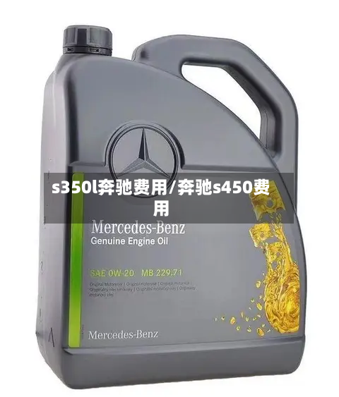 s350l奔驰费用/奔驰s450费用-第2张图片