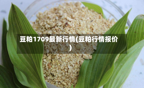 豆粕1709最新行情(豆粕行情报价)