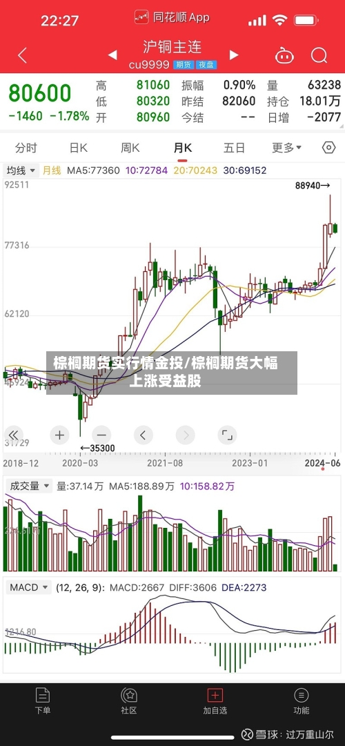 棕榈期货实行情金投/棕榈期货大幅上涨受益股-第2张图片