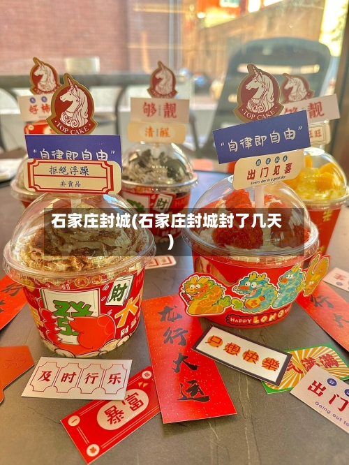 石家庄封城(石家庄封城封了几天)
