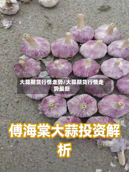 大蒜期货行情走势/大蒜期货行情走势最新-第2张图片