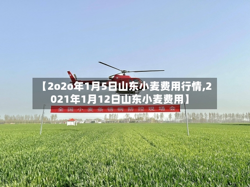 【2o2o年1月5日山东小麦费用行情,2021年1月12日山东小麦费用】-第2张图片