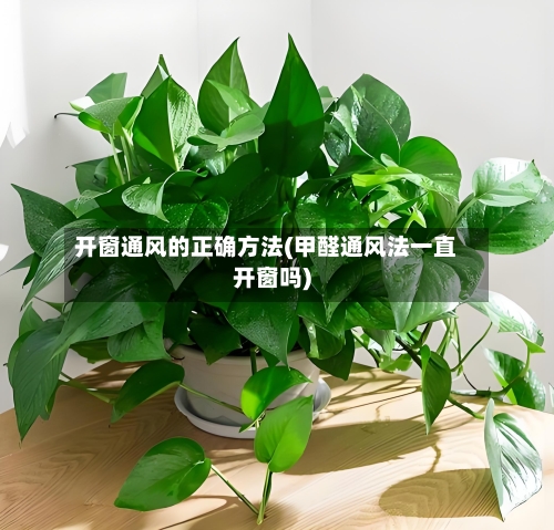 开窗通风的正确方法(甲醛通风法一直开窗吗)-第2张图片