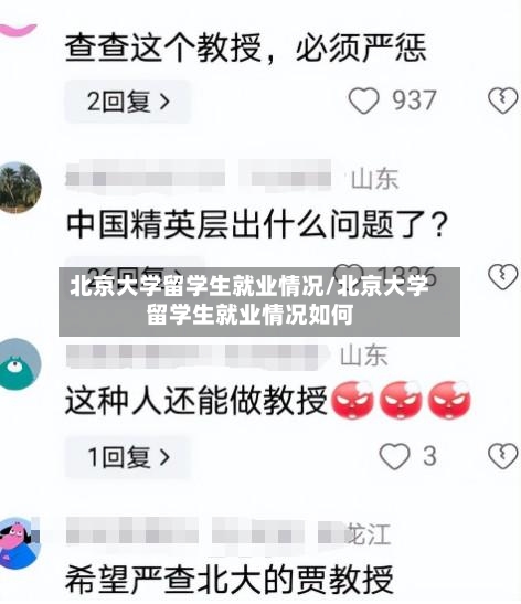 北京大学留学生就业情况/北京大学留学生就业情况如何-第2张图片