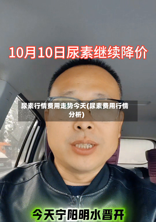 尿素行情费用走势今天(尿素费用行情分析)