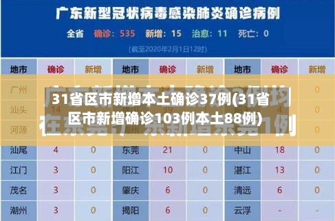 31省区市新增本土确诊37例(31省区市新增确诊103例本土88例)