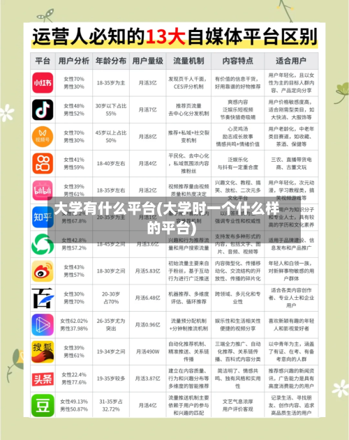 大学有什么平台(大学时一个什么样的平台)-第3张图片