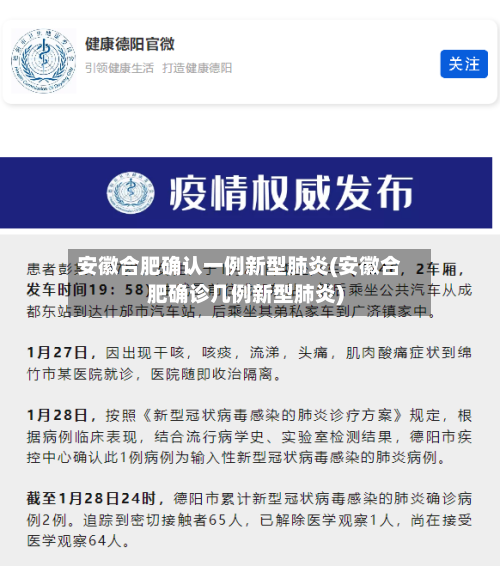 安徽合肥确认一例新型肺炎(安徽合肥确诊几例新型肺炎)-第3张图片