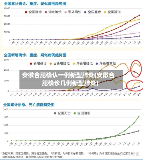 安徽合肥确认一例新型肺炎(安徽合肥确诊几例新型肺炎)-第2张图片
