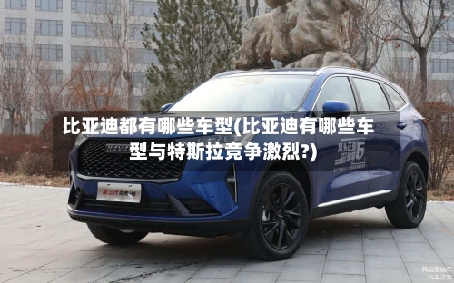 比亚迪都有哪些车型(比亚迪有哪些车型与特斯拉竞争激烈?)
