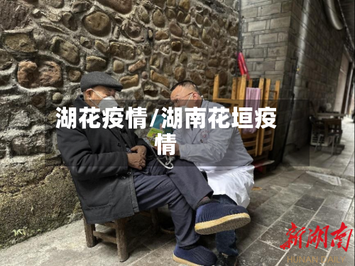 湖花疫情/湖南花垣疫情