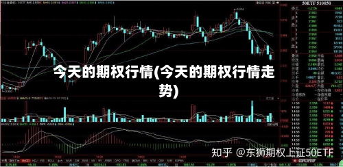 今天的期权行情(今天的期权行情走势)-第3张图片