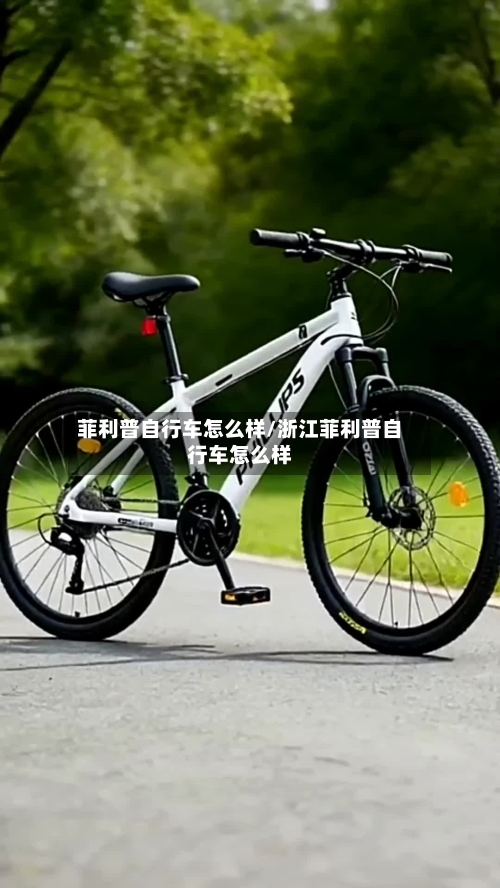 菲利普自行车怎么样/浙江菲利普自行车怎么样-第3张图片
