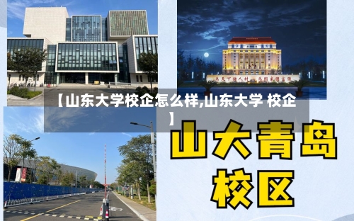 【山东大学校企怎么样,山东大学 校企】-第3张图片