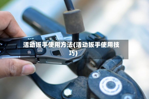 活动扳手使用方法(活动扳手使用技巧)-第2张图片