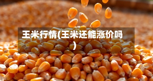 王米行情(王米还能涨价吗)