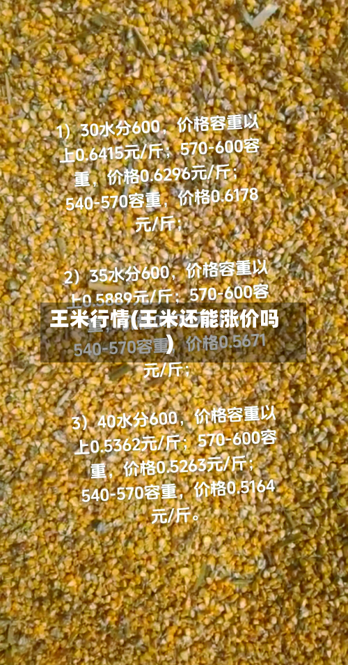 王米行情(王米还能涨价吗)-第2张图片