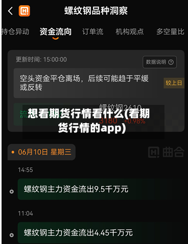 想看期货行情看什么(看期货行情的app)