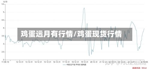 鸡蛋远月有行情/鸡蛋现货行情-第2张图片