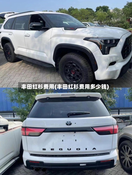 丰田红杉费用(丰田红杉费用多少钱)-第2张图片