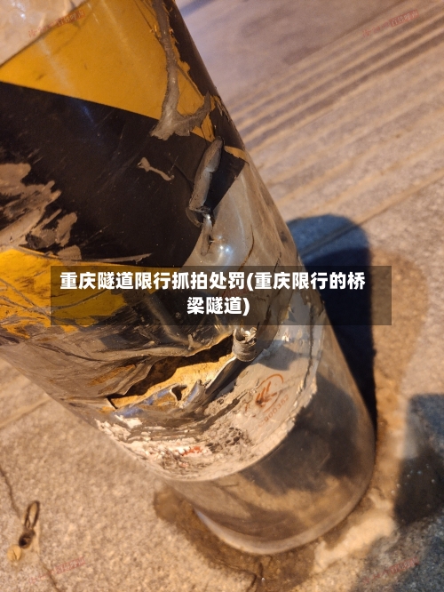 重庆隧道限行抓拍处罚(重庆限行的桥梁隧道)-第2张图片